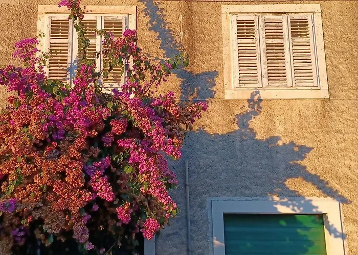 Bertie's - Four Bedroom A4 * Smokvica (Korcula)